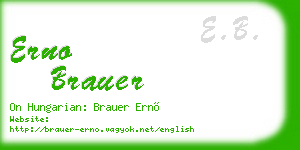 erno brauer business card